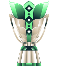 كأس آسيا 2027 السعودية